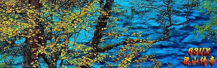 76���Ŵ�������